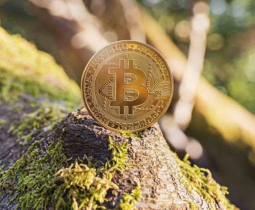 Criptomonedas