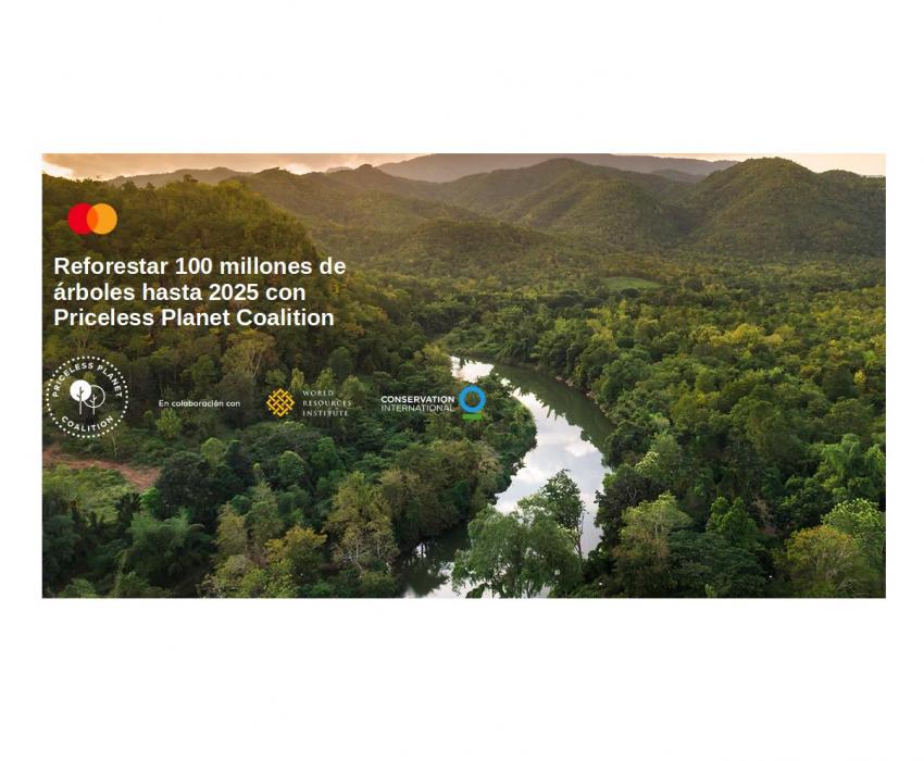 Resforestación de bosques para paliar el cambio climático